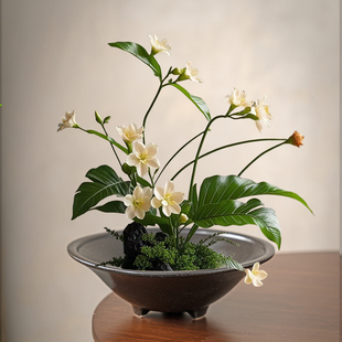 小型陶瓷苔藓球花盆托盘蕨类植物专用盆个性 微观造景水培器皿摆件