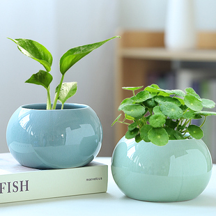铜钱金钱草水养绿萝花瓶水培器皿植物容器陶瓷客厅办公桌面装 饰品