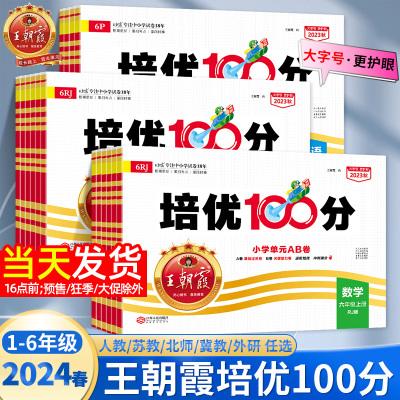 2024王朝霞试卷培优100分上下册