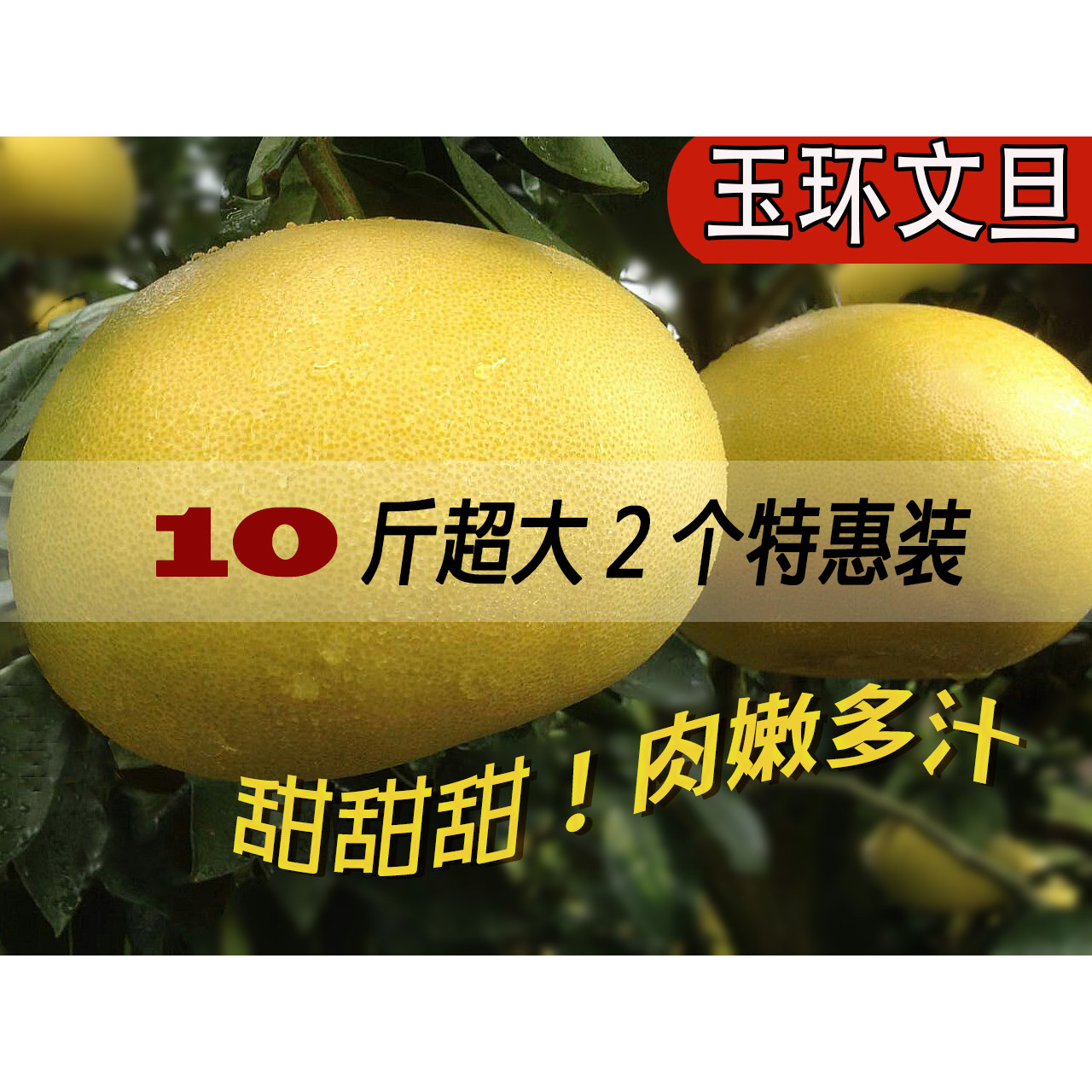 [超大10斤俩箱优惠5元]玉环文旦柚子孕妇新鲜水果包邮非红心胡柚