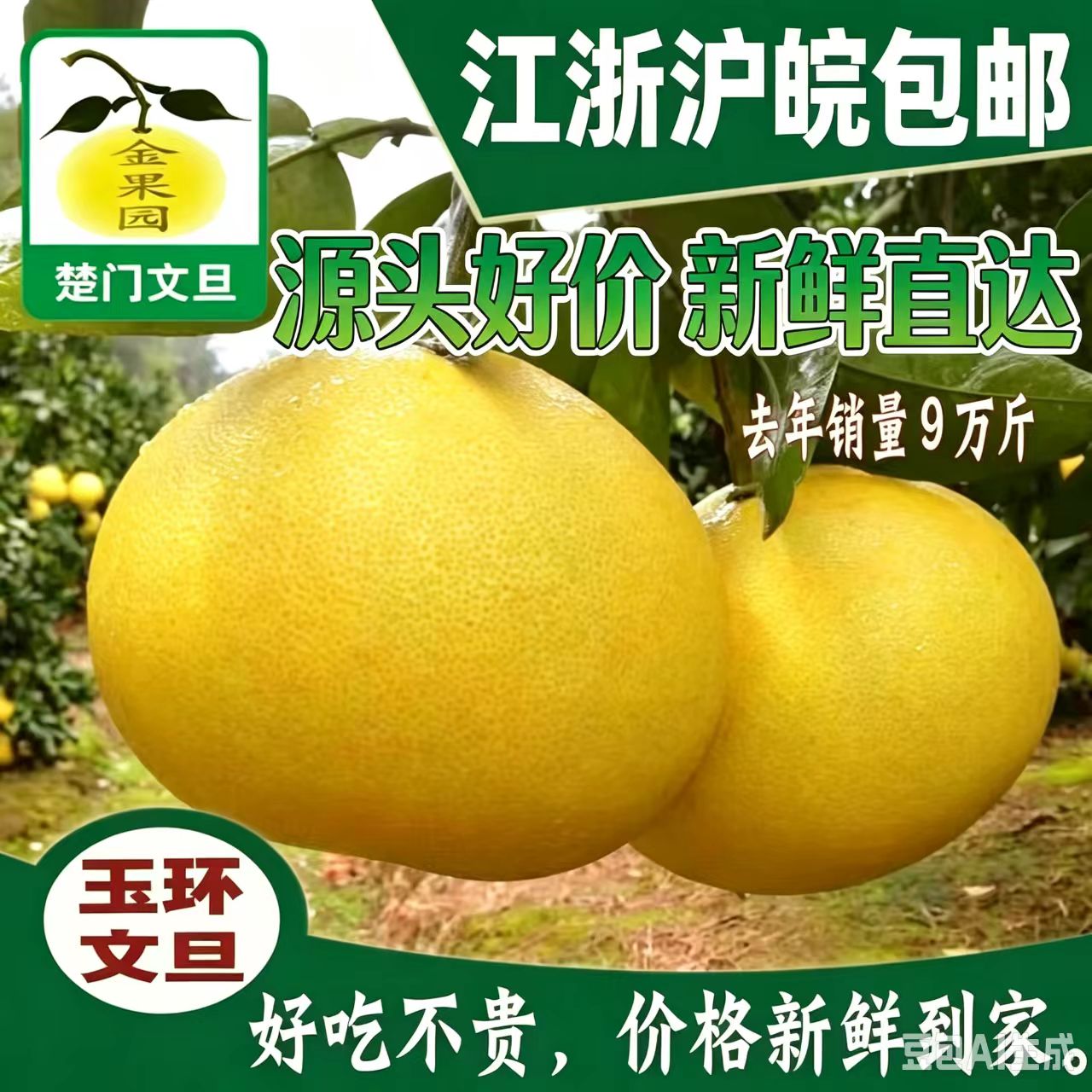 玉环大文旦15斤礼盒柚子图片
