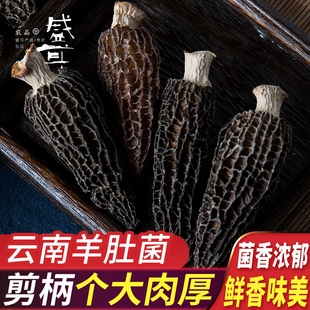 盛耳羊肚菌干货蘑菇新鲜羊肚菇菌菇菇类煲汤食材食用菌特产非500g