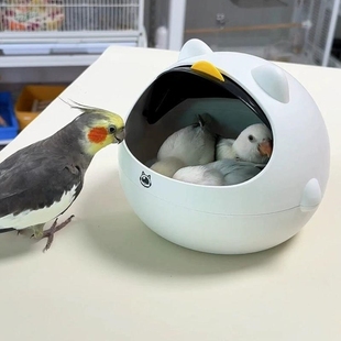 通透 窝实用舒适拍照神器可开合四季 鸟窝鹦鹉窝夏季 清凉透气新款