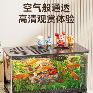 鱼缸客厅2025新款 小型桌面氧气泵过滤器一体金鱼缸造水族箱生态缸