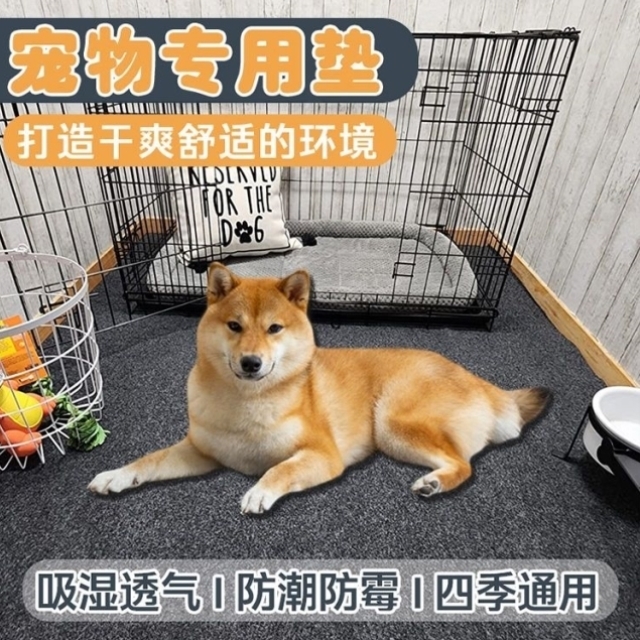 加厚宠物垫子猫咪狗狗四季通用隔凉防潮防滑地垫狗笼子围栏垫板冬