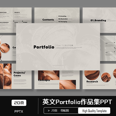 高端ppt模板极简风作品集Portfolio高级感英文个人简历cv国外模版