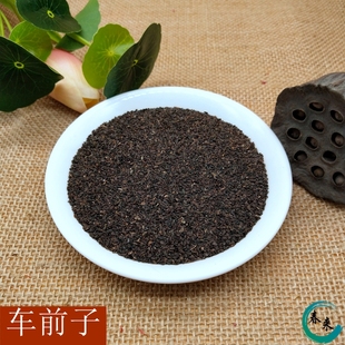 车前子中药 车前籽 新货  车前子茶 500克/满2斤包邮