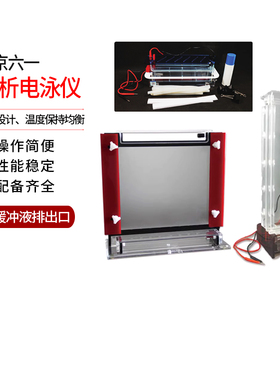 北京六一DYCZ-20A/B/C/D/F/G/H分析电泳仪DNA指纹分析-SSCP研究