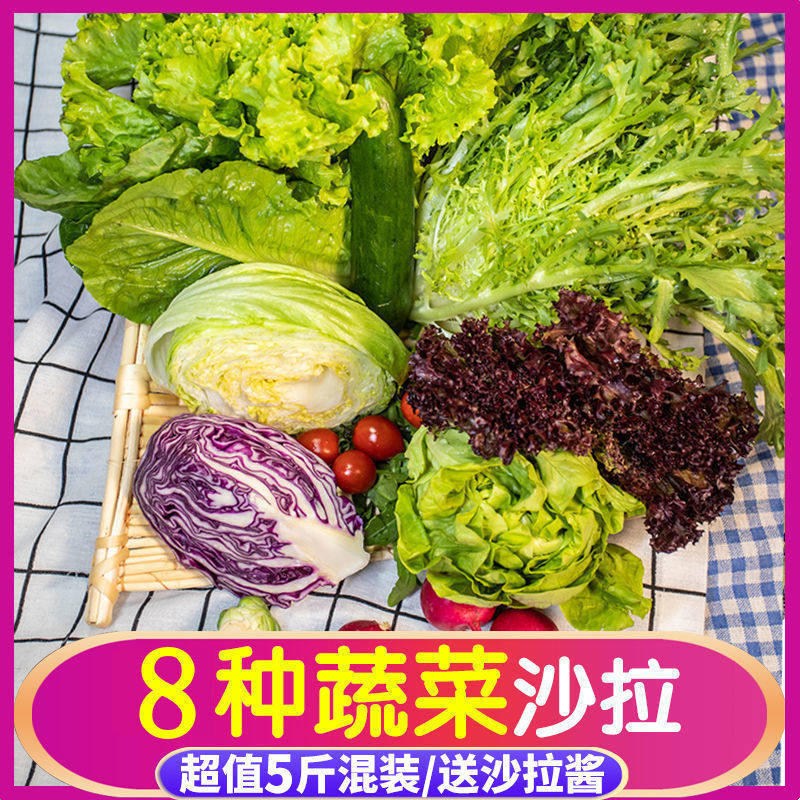 5斤装顺丰包邮混合水果沙拉蔬菜套餐新鲜低脂速食沙拉生菜凉拌