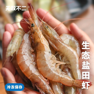 无双不二生态盐田虾新鲜活速冻无抗虾冷冻大虾虾仁去虾线儿童辅食