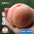 无双不二无锡湖景水蜜桃新鲜水果阳山当季 期待上架 软桃子孕妇