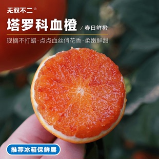 明年约！无双不二四川塔罗科血橙新鲜水果现摘玫瑰手剥橙子榨汁