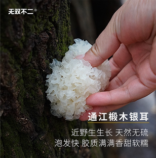 无双不二通江椴木银耳断木天然新鲜雪耳白木耳孕妇无硫干货莲子羹
