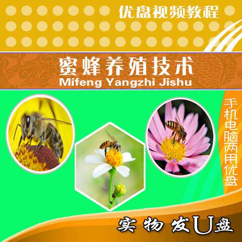 养蜂技术教程养蜂大全新手入门养蜜蜂技术养蜂教程视频优盘U盘