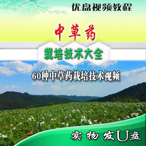 60种中草药栽培技术大全U盘视频教程种植田间管理病虫害防治采收