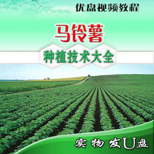 马铃薯种植技术大U盘视频教程全脱毒马铃薯种薯技术土豆种植技术