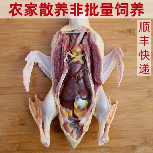 农家散养土鸭炖汤老鸭麻鸭番鸭