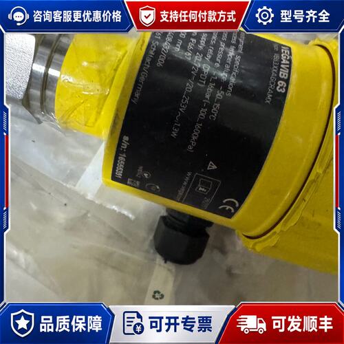 议价VEGA VIB 63液位计型号VB63.XXACRANX可维修