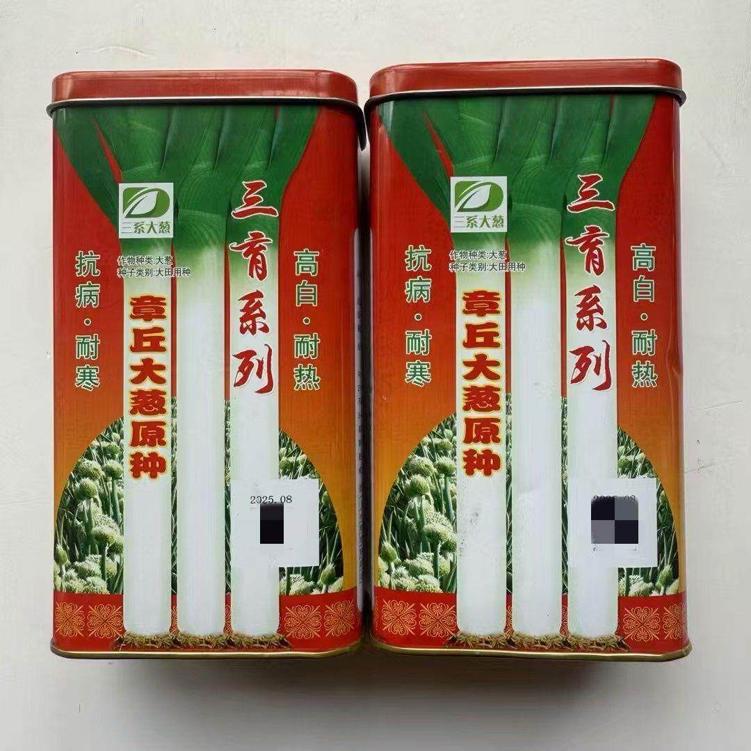 章丘大葱原种种籽铁杆大葱种子葱苗蔬菜种籽高白香葱种孑耐寒秋播