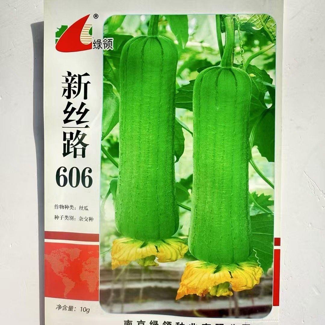 绿领新丝路606丝瓜种子中熟短棒形丝瓜种抗病蔬菜种籽青绿色丝瓜