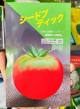 LUA绿冠草莓柿耐子种子深粉大果高圆型西红东柿北铁皮番茄寒大田