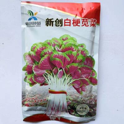 新创白梗苋菜种子早熟浅白梗花叶苋菜种子耐热圆叶汉菜长寿菜籽种