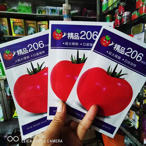日本引进金品粉红番茄种子大西红柿种籽抗病不裂果大棚露地栽培
