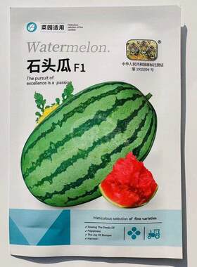 神禾石头瓜西瓜种子抗病耐重茬椭圆形大果西瓜种籽耐旱水果西瓜种