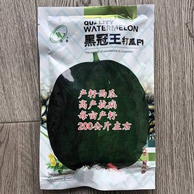 黑冠王打瓜种子大片瓜子瓜产籽西瓜南瓜种籽春夏季四季蔬菜种孑LT