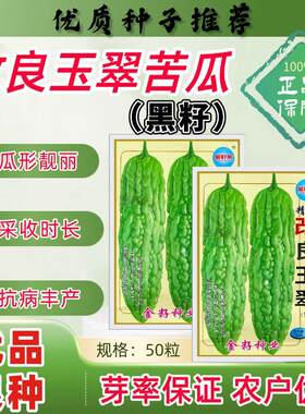 改良玉翠苦瓜种子黑籽厚肉苦瓜耐热耐寒高产抗病采收时长瓜形美观