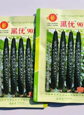 豫艺黑优901黄瓜种子强雌油亮绿心春秋绿肉密刺黄瓜种籽脆甜青瓜