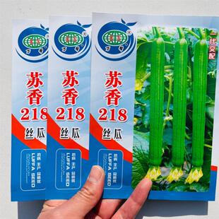 万帮苏香218丝瓜种子杂交抗病高产果肉细嫩油亮顺直长丝瓜春秋播