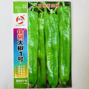 徐研大椒1号辣椒种子特大果粗长牛角椒种籽早熟高产秋冬季蔬菜孑