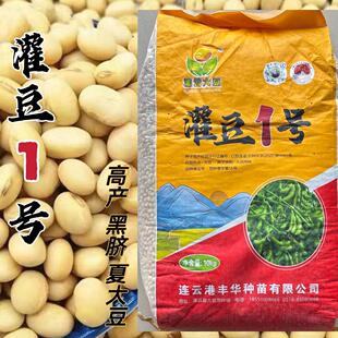 灌豆1号黄豆种子黑脐大豆籽高产抗病大田春秋大豆种农家蔬菜种籽