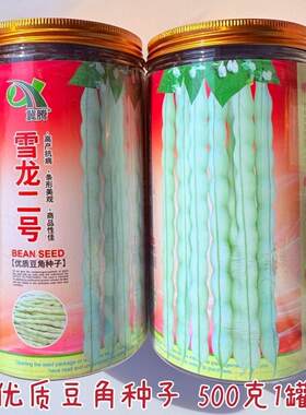 雪龙二号优质豆角种子无纤维丰产抗病四季豆种籽春秋播种梅豆种孑