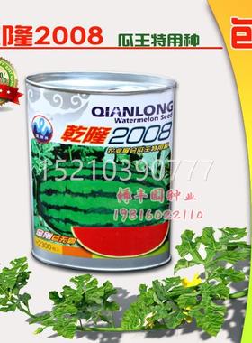 乾隆2008西种子特大懒汉西瓜瓜种籽高产ZXT巨型南方种四季蔬菜水