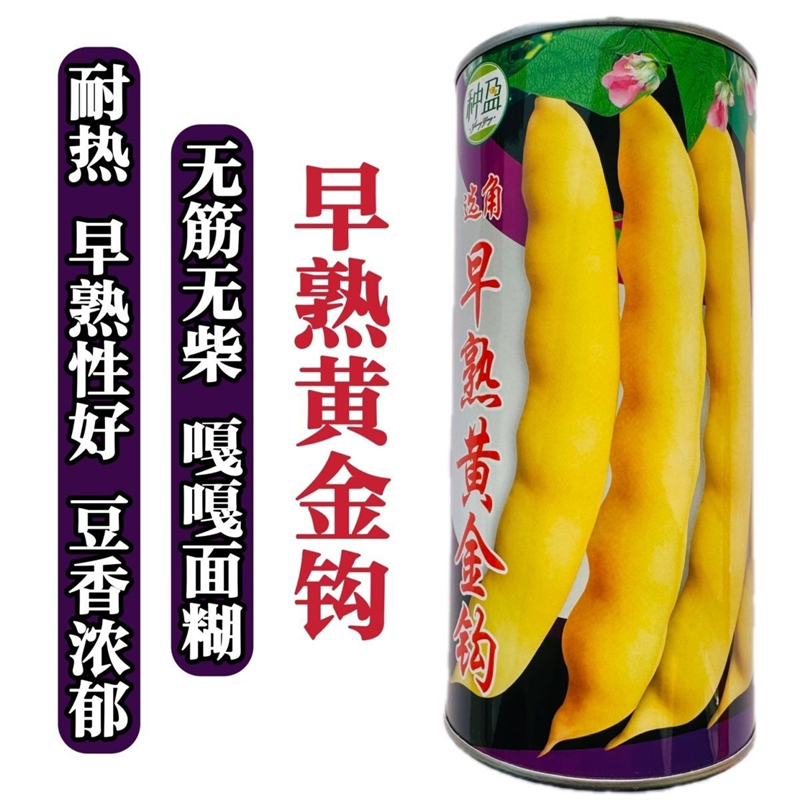 早熟黄金钩豆角种子黄豆角种子东北架油豆种籽黄金架豆种面糊好吃