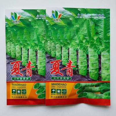 夏青尖叶香莴笋种子耐热莴苣种子味清香茎棒粗膨大快抗病耐热耐湿