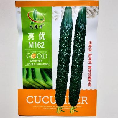 亿亮联肉特亮优M162黄瓜种籽露子地油青耐热瓜码密春秋棚YOG黄瓜