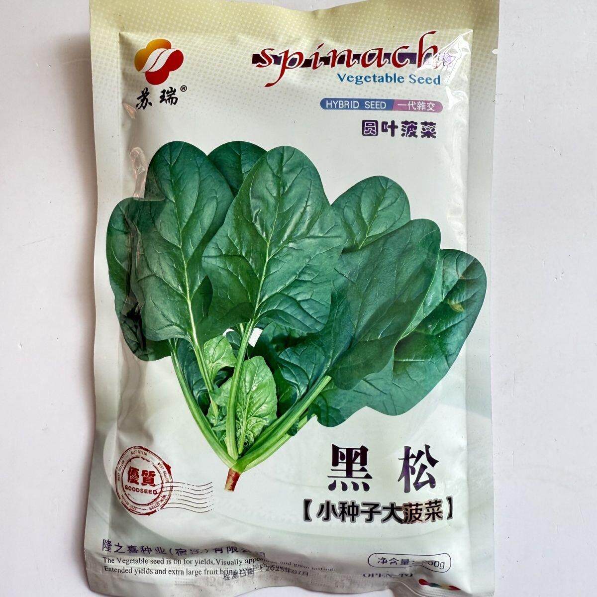 苏瑞黑松菠菜种子250克
