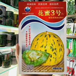 糖潮花蜜3号甜瓜种子浓香甜好吃八里香大果高糖高产花皮瓜早春播