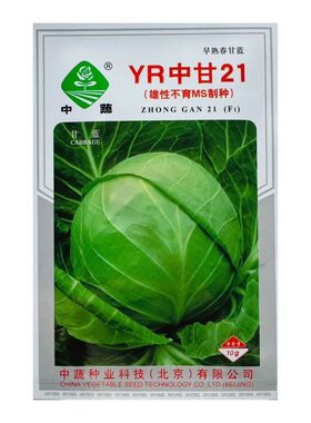 YR中甘21甘蓝种子春播早熟耐抽苔亮绿圆球抗枯萎病甘蓝包菜中子籽