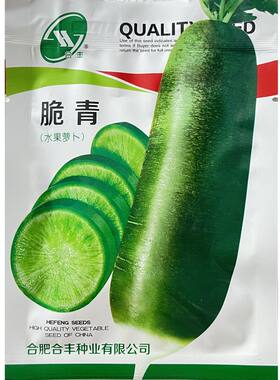 正宗维县沙窝萝卜种子美味甜脆萝卜种子水果型杂交青萝卜种子秋播