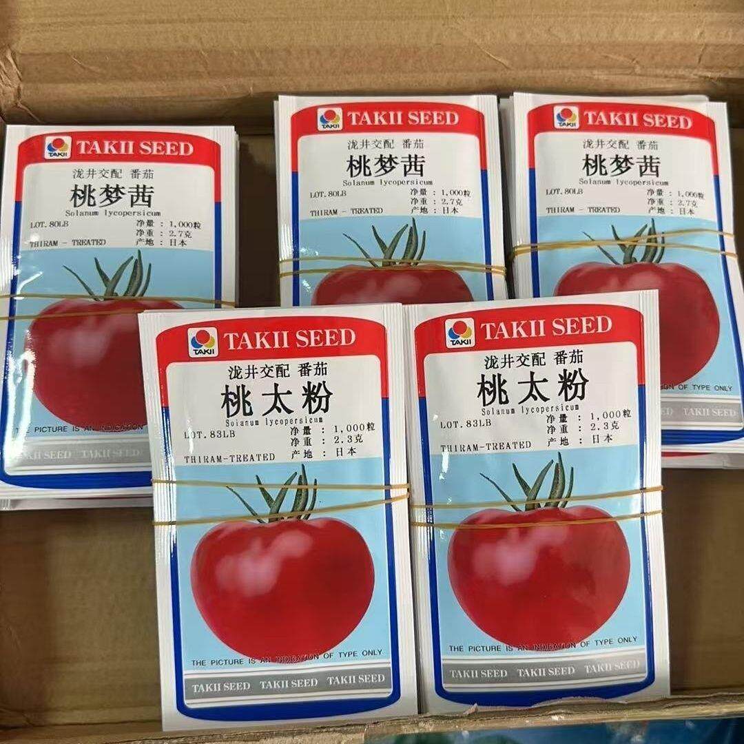 日本泷井番茄种子系列桃太粉番茄种子粉红西红柿种籽春秋播种水果