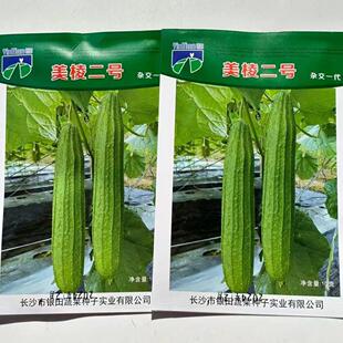 美棱二号棱丝瓜种子绿皮带花点棱丝瓜种子爽脆清甜八角瓜种籽