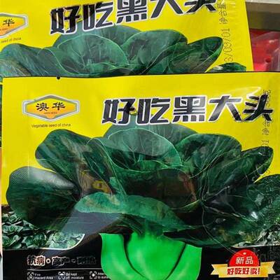好吃黑大头青梗菜种子叶墨绿色柄灰绿色高产耐寒耐热四季播青菜种