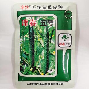 津4号 5乐号 优409号 津1XYW01号 多多 满春地爬 喜多多黄瓜种子