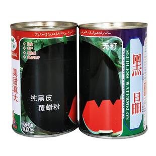 黑晶中熟黑西瓜皮种子抗病丰DQK易坐果耐贮大田存专用种产子