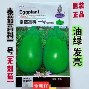秦茄高科一号中早熟杂交绿茄种子长卵圆形皮色深绿油亮早春越冬播