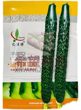 亿联特油亮K100黄瓜种子500粒夏季秋季大棚强雌高产油亮青瓜菜籽